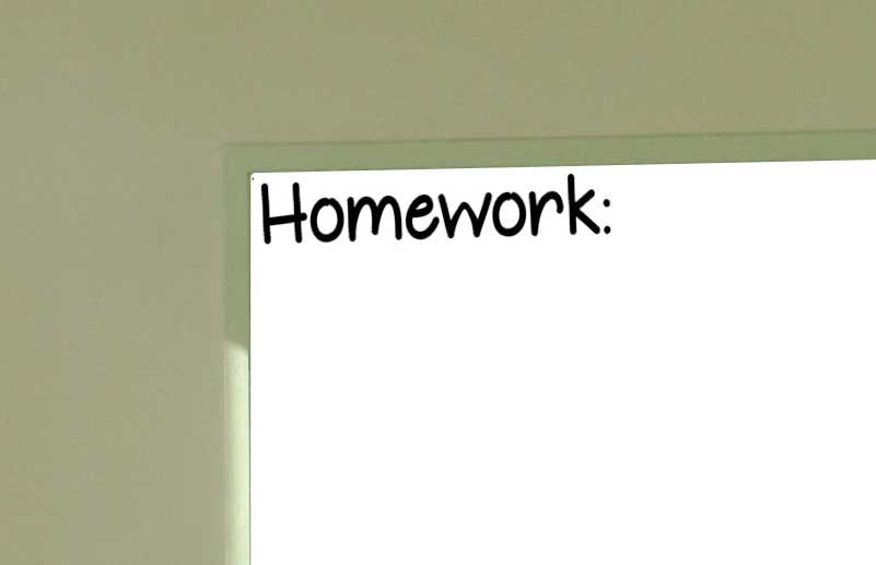 Homework Wall Vinyl Decal Classroom for the Classroom