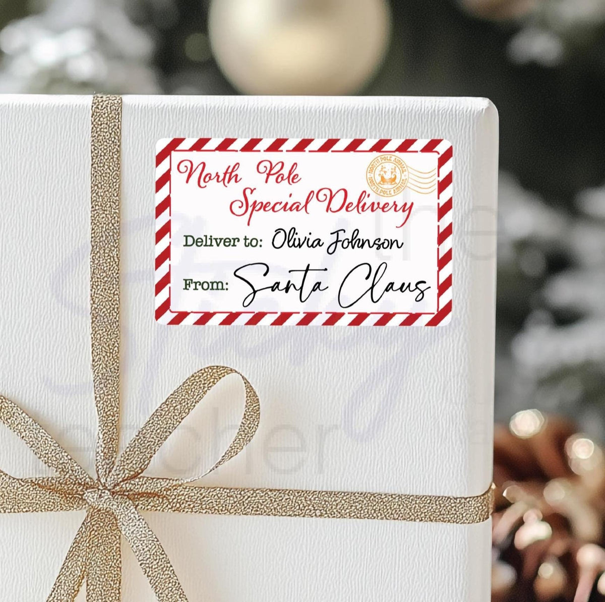 North Pole Special Delivery gift label from Santa, personalized