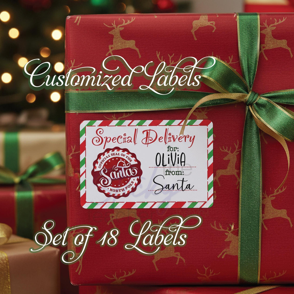 Two-name Special Delivery from Santa gift label sheet
